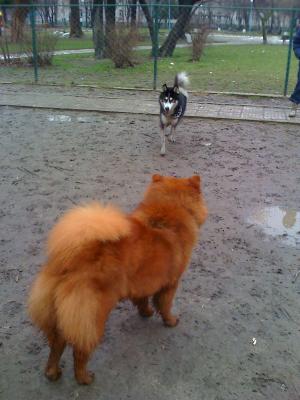 Прикачена снимка