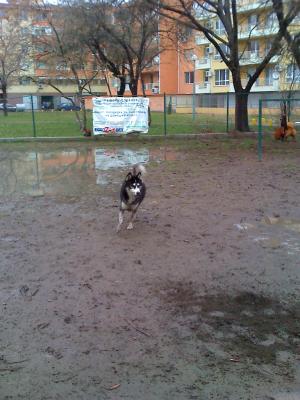 Прикачена снимка