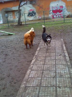 Прикачена снимка
