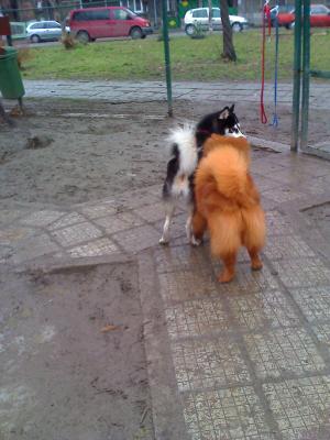 Прикачена снимка