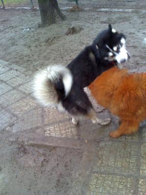 Прикачена снимка