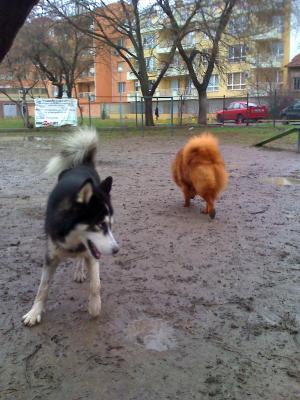 Прикачена снимка