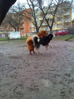 Прикачена снимка