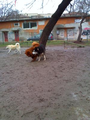 Прикачена снимка