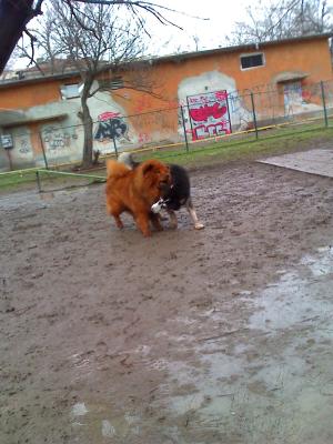 Прикачена снимка