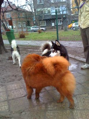 Прикачена снимка