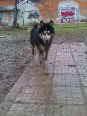 Прикачена снимка