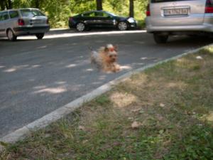 Прикачена снимка