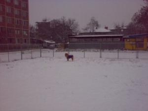 Прикачена снимка