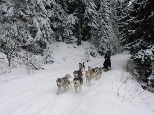Прикачена снимка