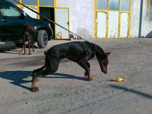 Прикачена снимка