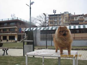 Прикачена снимка