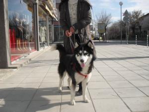 Прикачена снимка