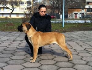 Прикачена снимка