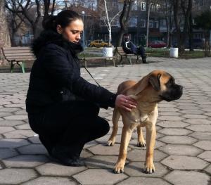 Прикачена снимка