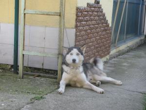 Прикачена снимка