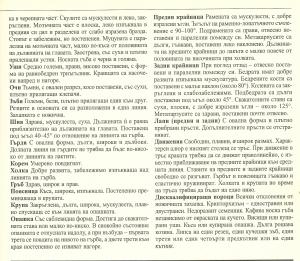 Прикачена снимка