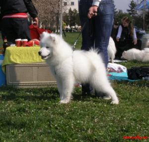 Прикачена снимка