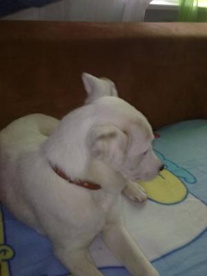 Прикачена снимка