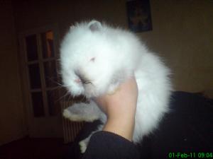 Прикачена снимка
