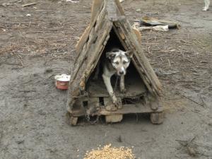 Прикачена снимка