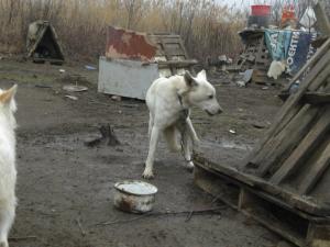 Прикачена снимка
