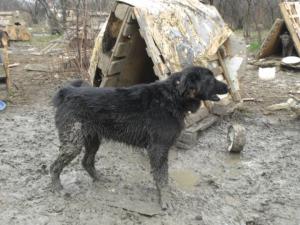 Прикачена снимка