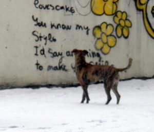 Прикачена снимка
