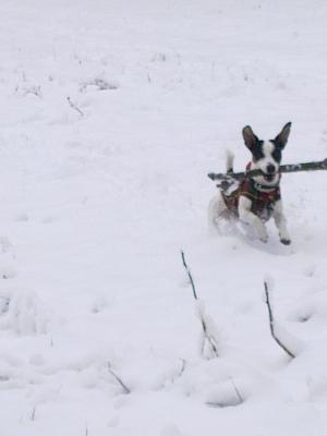 Прикачена снимка