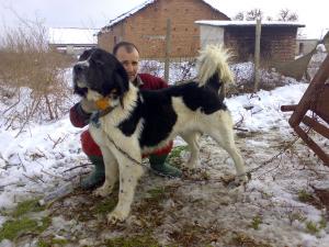 Прикачена снимка