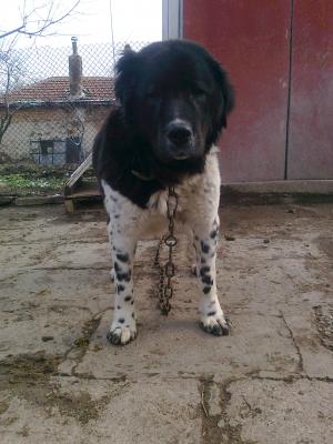 Прикачена снимка