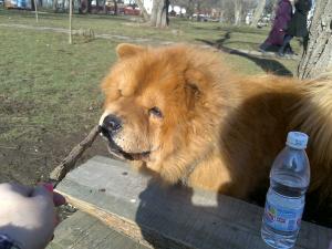 Прикачена снимка