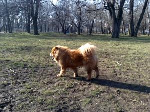 Прикачена снимка