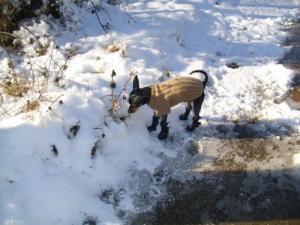 Прикачена снимка