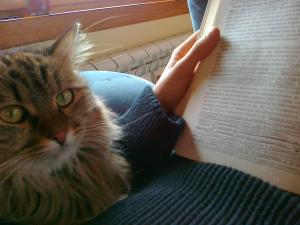 Прикачена снимка