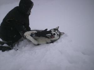Прикачена снимка