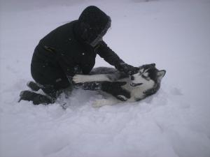 Прикачена снимка