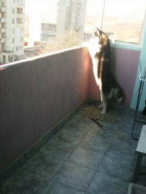 Прикачена снимка