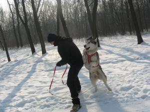 Прикачена снимка