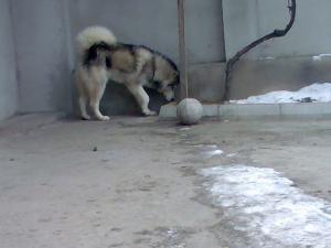Прикачена снимка