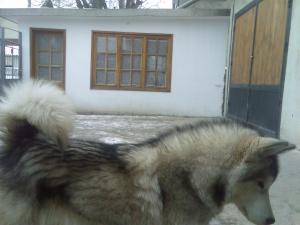 Прикачена снимка