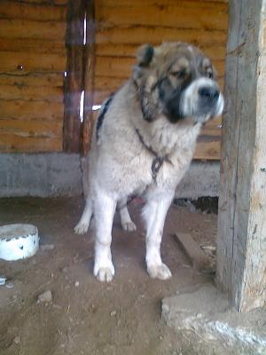 Прикачена снимка