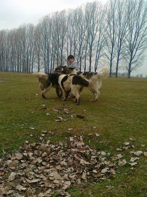 Прикачена снимка