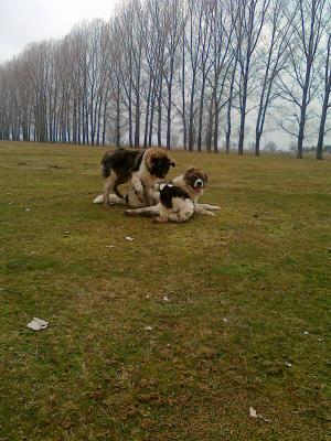 Прикачена снимка