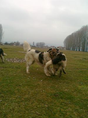 Прикачена снимка