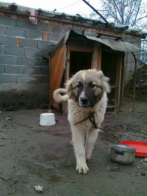 Прикачена снимка