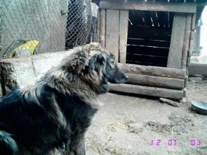 Прикачена снимка
