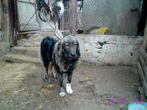 Прикачена снимка