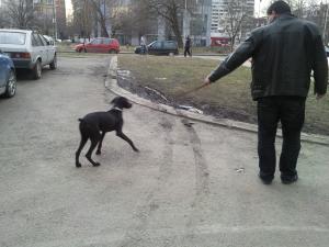 Прикачена снимка