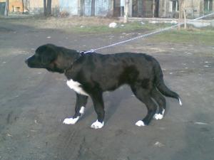 Прикачена снимка